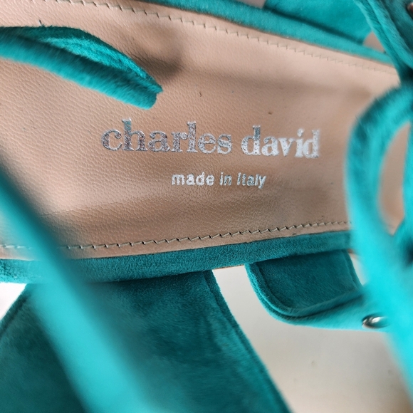 Charles David Leather Sandals Green Strappy Chunky Block Heel Shoe Sz 10 - Picture 9 of 9